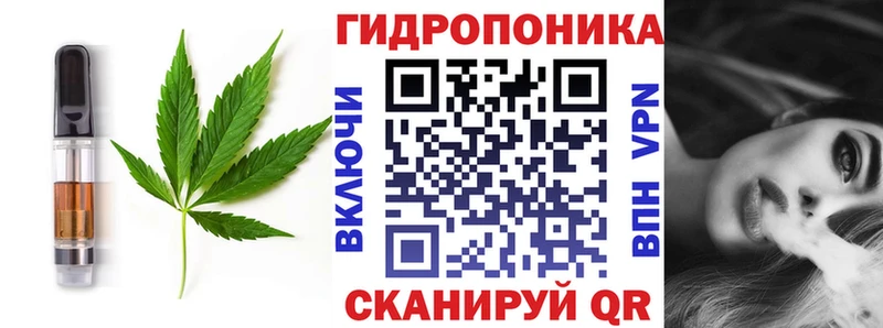 Купить где  Лебедянь  Cannafood конопля 