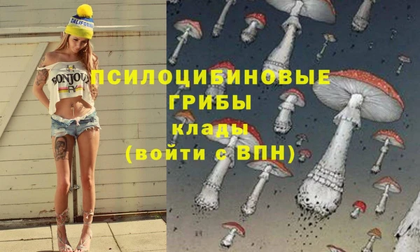 МДПВ Бронницы