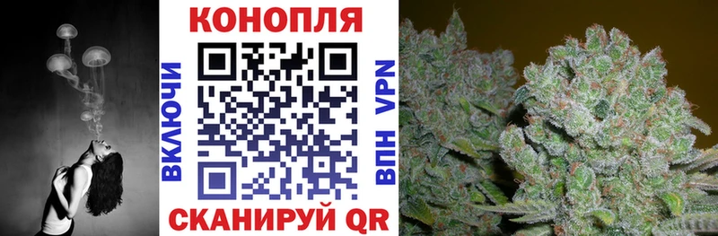 Купить где  Лебедянь  Шишки марихуана OG Kush 
